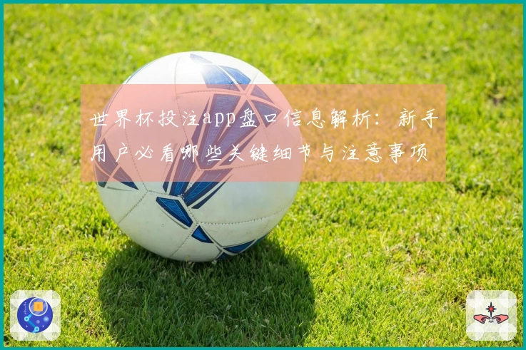 世界杯投注app盘口信息解析:新手用户必看哪些关键细节与注意事项